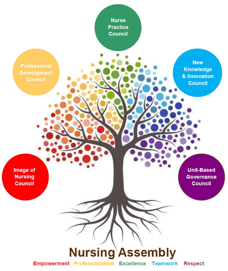 Shared Governance & Professional Practice Model